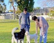 two residents with two dogs at Dobson Ranch 2020 Winter Bark in the Park event