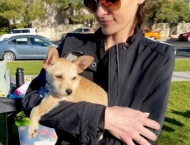 woman holding dog to be adopted at Dobson Ranch 2020 Winter Bark in the Park event