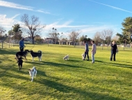 Laguna Park filled with residents and dogs at Dobson Ranch 2020 Winter Bark in the Park event