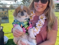girl with lei and dog with hawaiian shirt at Dobson Ranch 2020 Winter Bark in the Park event