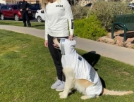 Pet owner lookalikes winner at Dobson Ranch 2020 Winter Bark in the Park event