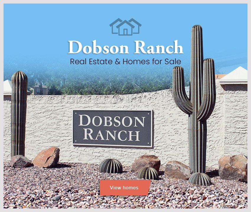 Dobson Ranch Real Estate & Homes for Sale Portal logo