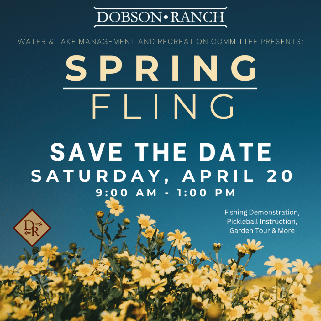 Spring Fling @ Los Altos Recreation Center